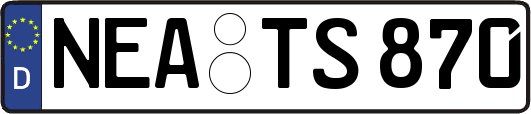 NEA-TS870