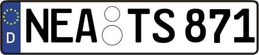 NEA-TS871