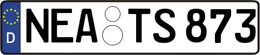 NEA-TS873