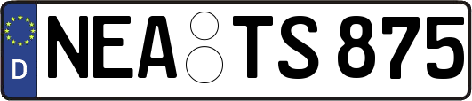 NEA-TS875