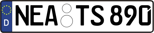 NEA-TS890