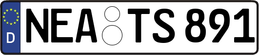 NEA-TS891