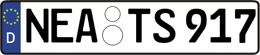 NEA-TS917