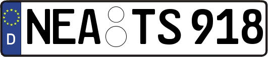 NEA-TS918
