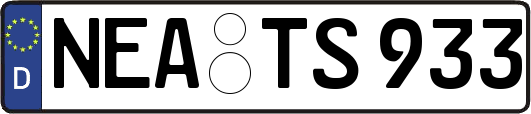 NEA-TS933