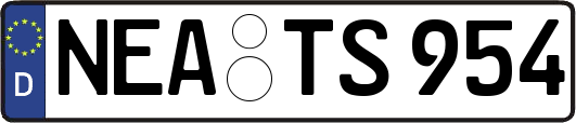 NEA-TS954