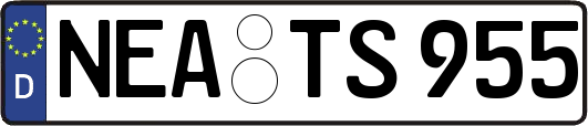 NEA-TS955
