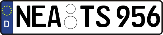 NEA-TS956