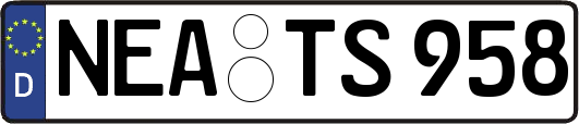 NEA-TS958