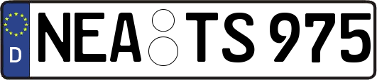 NEA-TS975