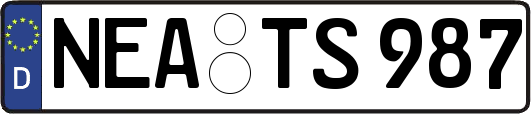 NEA-TS987
