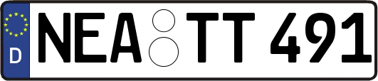 NEA-TT491