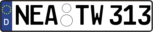 NEA-TW313