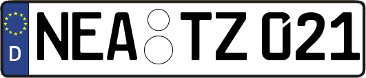 NEA-TZ021