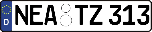 NEA-TZ313
