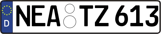 NEA-TZ613