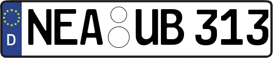 NEA-UB313