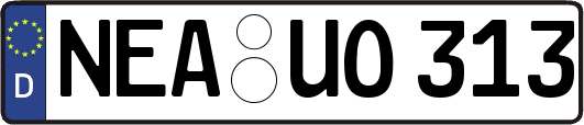 NEA-UO313