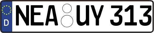 NEA-UY313