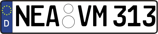 NEA-VM313