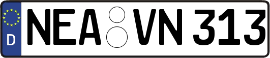 NEA-VN313