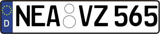NEA-VZ565