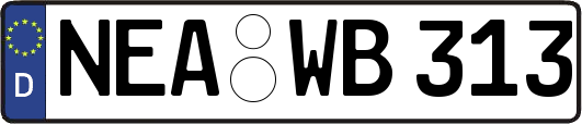 NEA-WB313