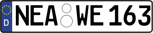 NEA-WE163
