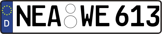 NEA-WE613