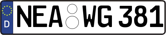 NEA-WG381