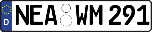 NEA-WM291