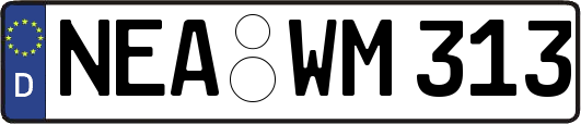 NEA-WM313