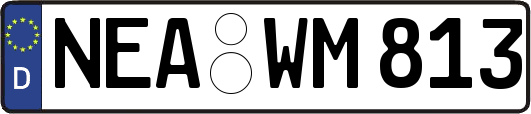 NEA-WM813