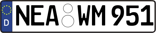 NEA-WM951