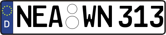 NEA-WN313