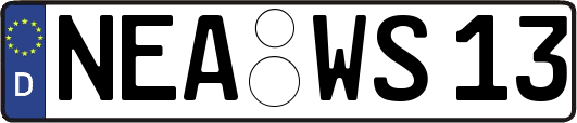 NEA-WS13