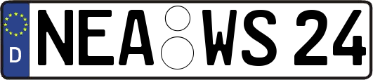 NEA-WS24