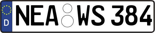 NEA-WS384