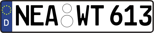 NEA-WT613
