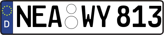 NEA-WY813