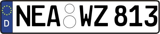 NEA-WZ813