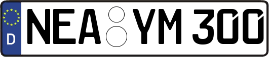 NEA-YM300