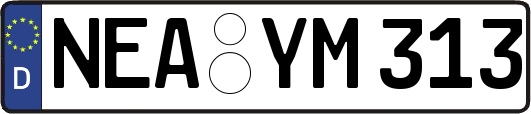 NEA-YM313