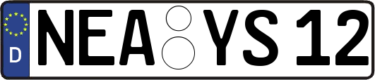 NEA-YS12