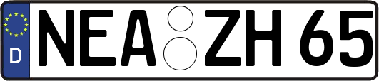 NEA-ZH65