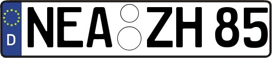 NEA-ZH85