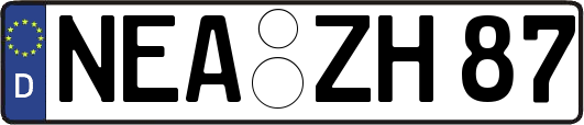 NEA-ZH87
