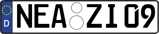 NEA-ZI09