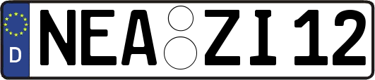 NEA-ZI12