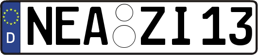 NEA-ZI13